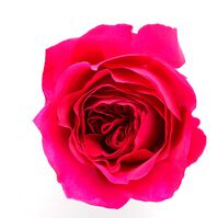 BECAUSE IT'S YOU  100ml-164162 BECAUSE IT'S YOU  100ml-164162 2